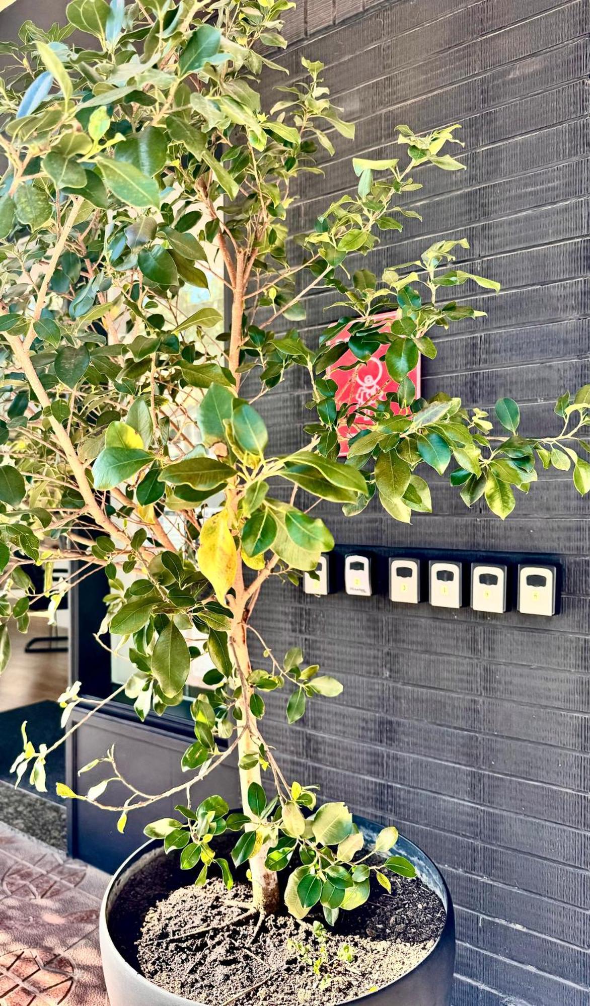 Apartamento Con Vistas Al Mar Deluxe 4ºb *
